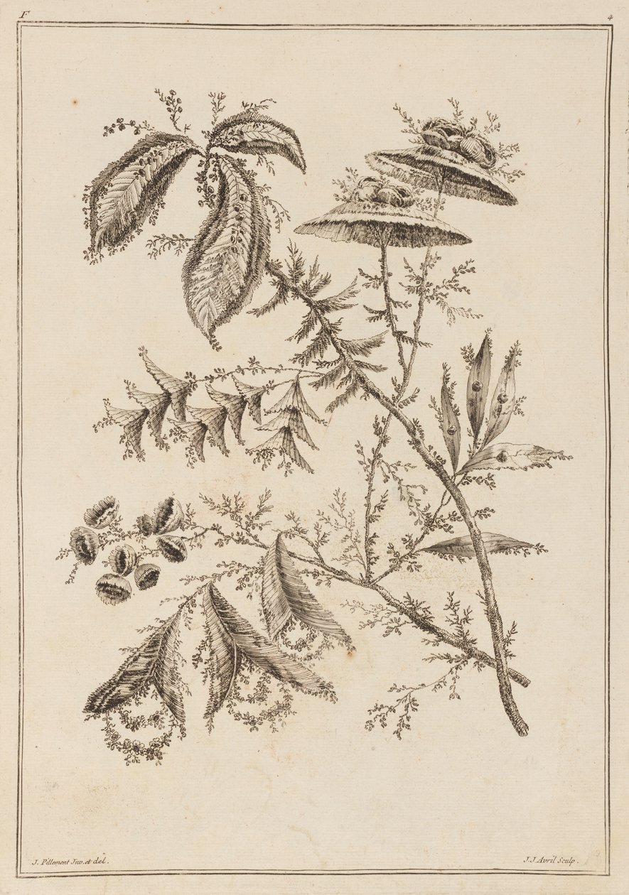 Blomstergren av Jean Baptiste Pillement