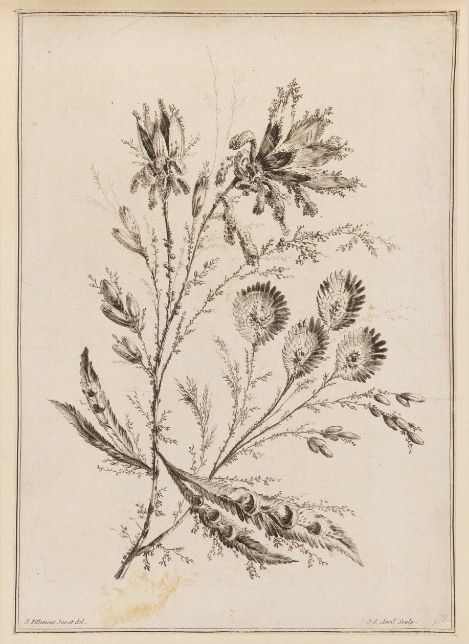 Blomstergren av Jean Baptiste Pillement