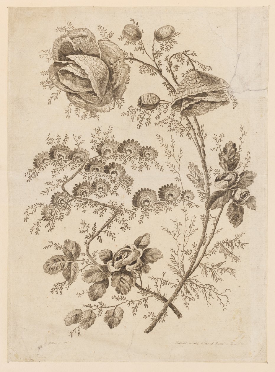 Flower Bough, fra "Cahier de Fleurs Singuliers" av Jean Baptiste Pillement