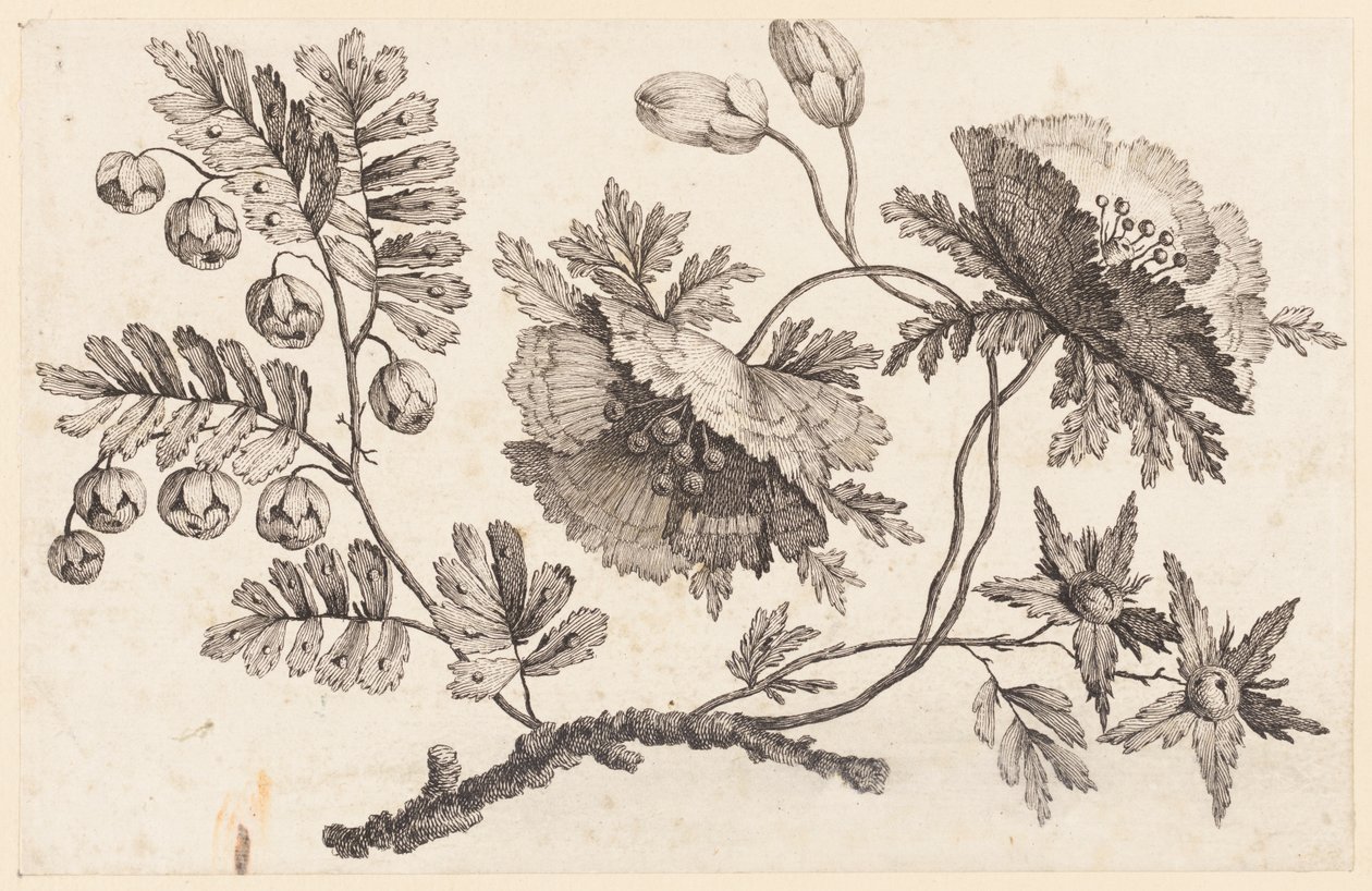 Flower Bough, fra "Chinese Flower Collection" av Jean Baptiste Pillement