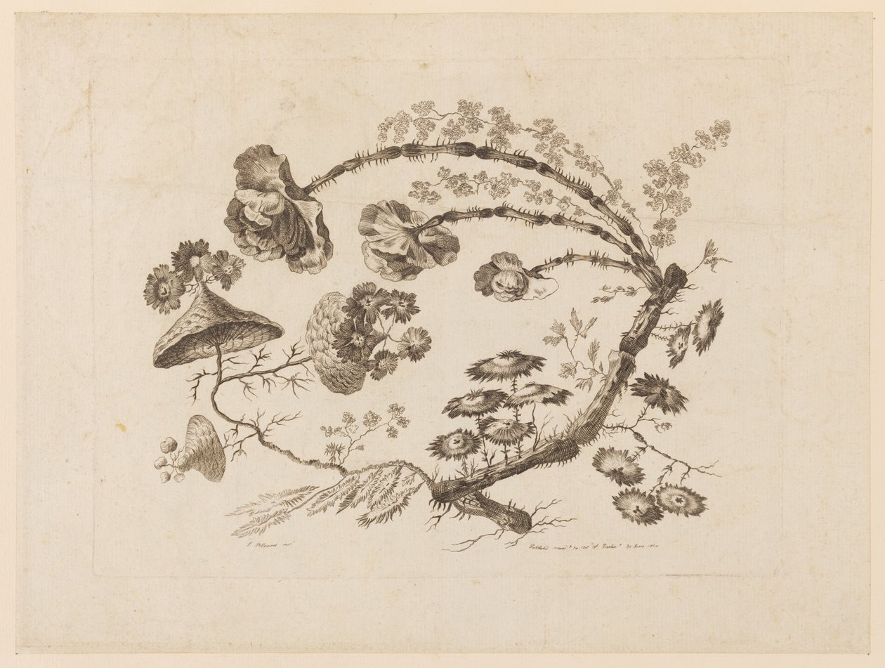 Flower Boughs, from "Recueil de Differentes Fleurs de Fantaisie Dans le Goût Chinois"   1232312   no       norwegian Successfully Translated  Original: A View in China Translat: A View in China 1420178 no norwegian Successfully Translated Original: Off to  av Jean Baptiste Pillement