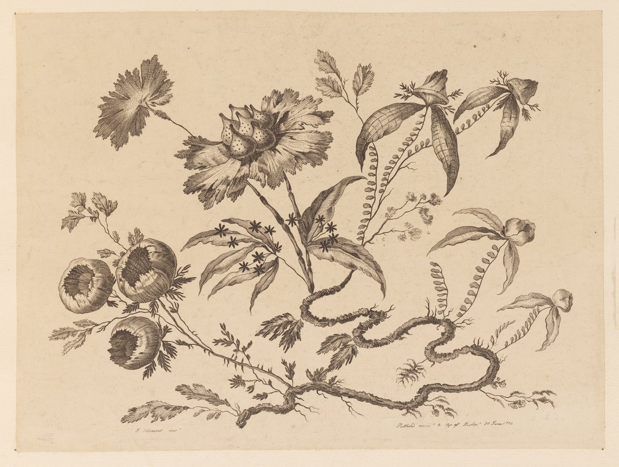 Blomstergrener, fra "Samling av forskjellige fantasiblomster i kinesisk smak" av Jean Baptiste Pillement