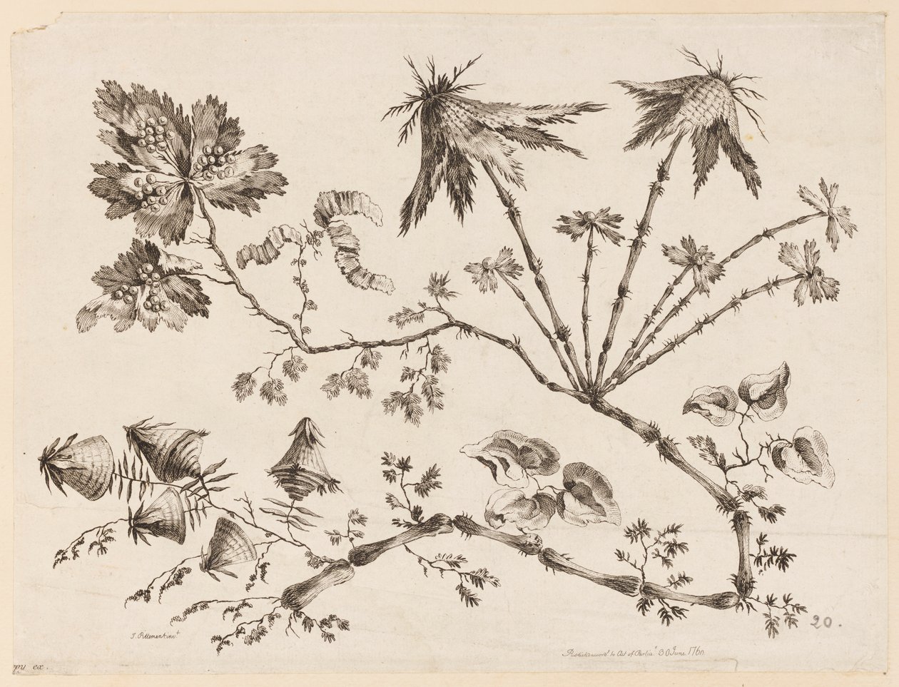 Blomstergrener, fra "Samling av forskjellige fantasiblomster i kinesisk smak" av Jean Baptiste Pillement