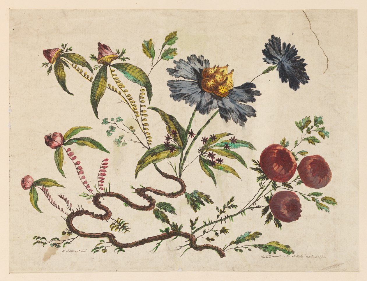 Blomstergrener, fra "Samling av forskjellige fantasiblomster i kinesisk smak" av Jean Baptiste Pillement