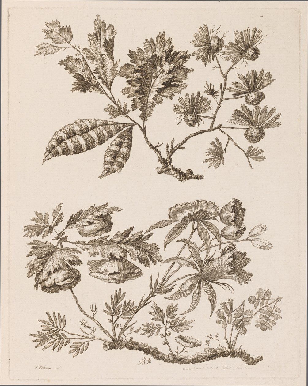 Blomstergrener, fra "Samling av forskjellige fantasiblomster i kinesisk smak" av Jean Baptiste Pillement