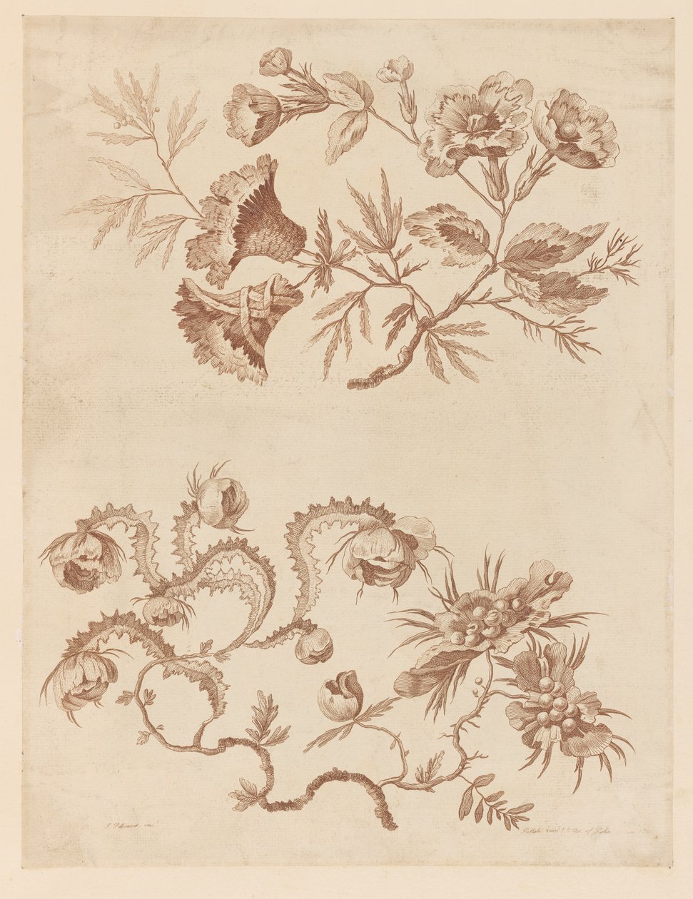 Blomstergrener, fra "Samling av forskjellige fantasiblomster i kinesisk smak" av Jean Baptiste Pillement