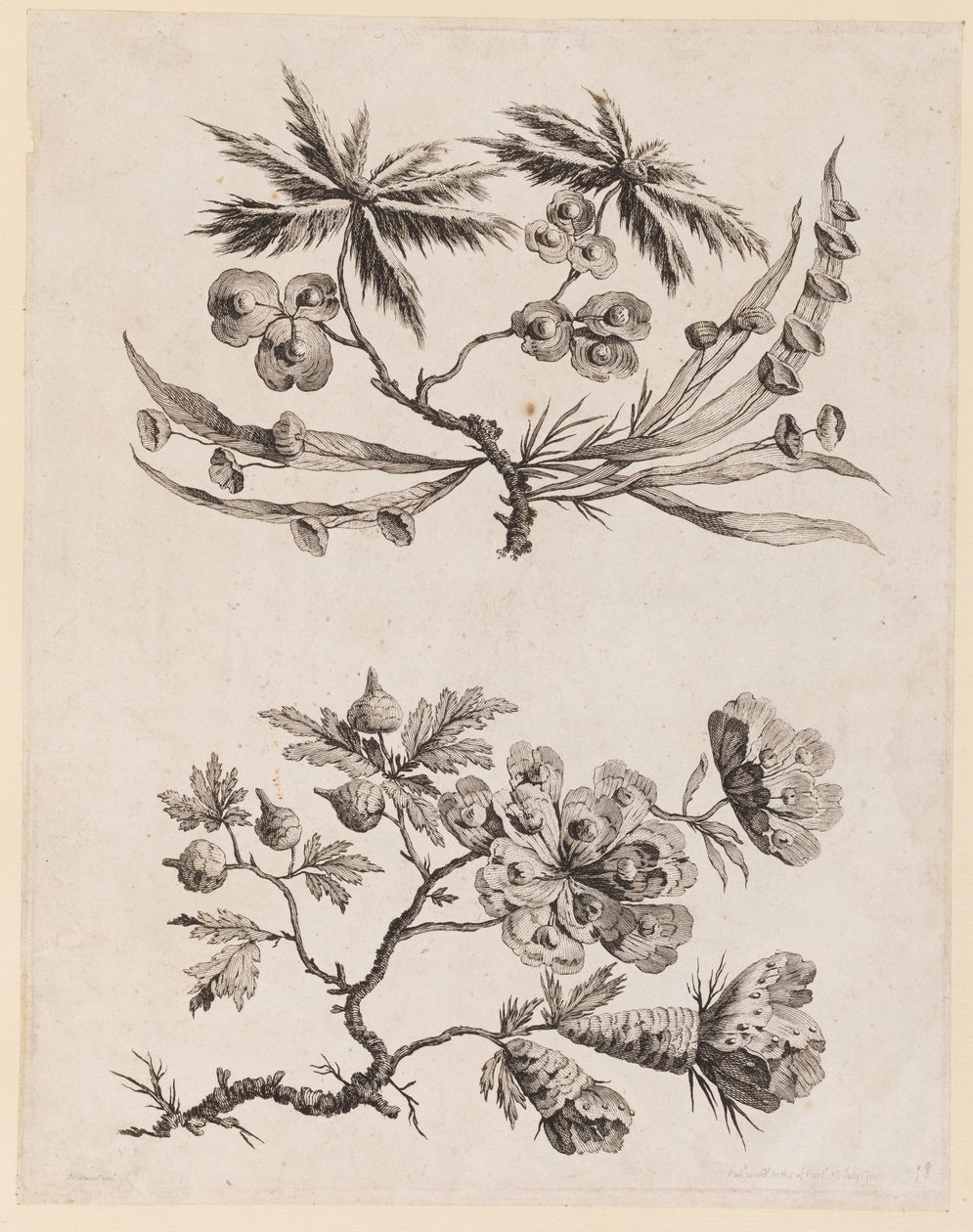 Blomstergrener fra "Chinese Flower Collection" av Jean Baptiste Pillement