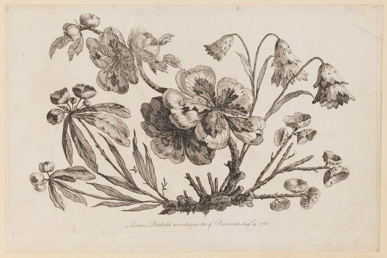 Flower Boughs, fra "Collection of Chinese Flowers" av Jean Baptiste Pillement