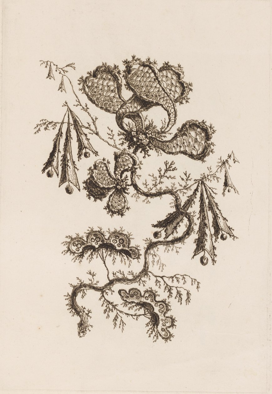 Blomstergren, fra "Fleures Persannes" av Jean Baptiste Pillement