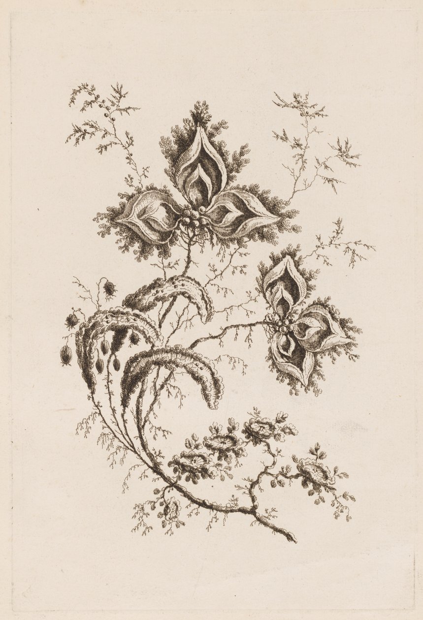 Blomstergren, fra "Fleures Persannes" av Jean Baptiste Pillement