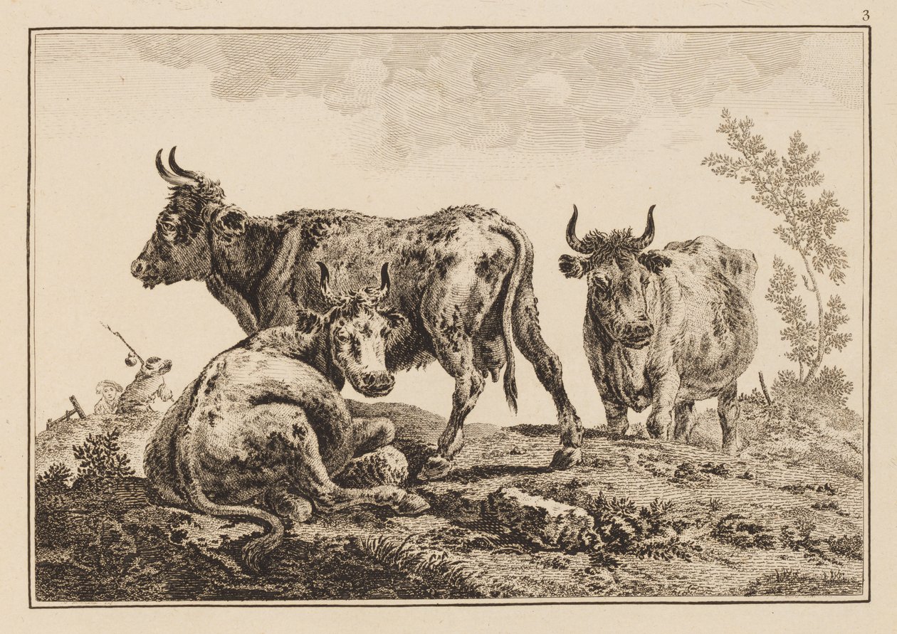 Plate 3, fra "Notebook of Six Sheets of Oxen and Cows" av Jean Baptiste Pillement