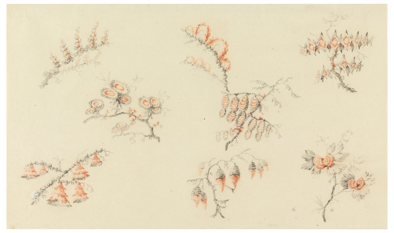 Spray av syv ideelle blomster og av en kvasi naturalistisk blomst av Jean Baptiste Pillement