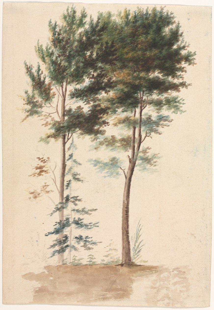 Trær av Jean Baptiste Pillement
