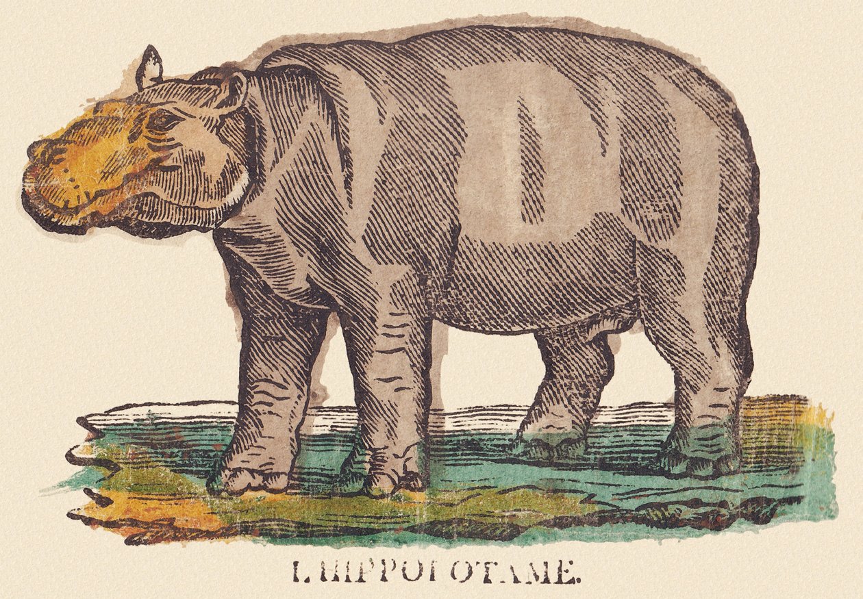  av Jean Baptiste Thiebault