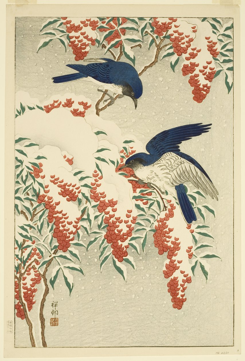 Fluesnappere på snødekte Nandina (farget treblokktrykk) av Jean Baptiste Thonesse