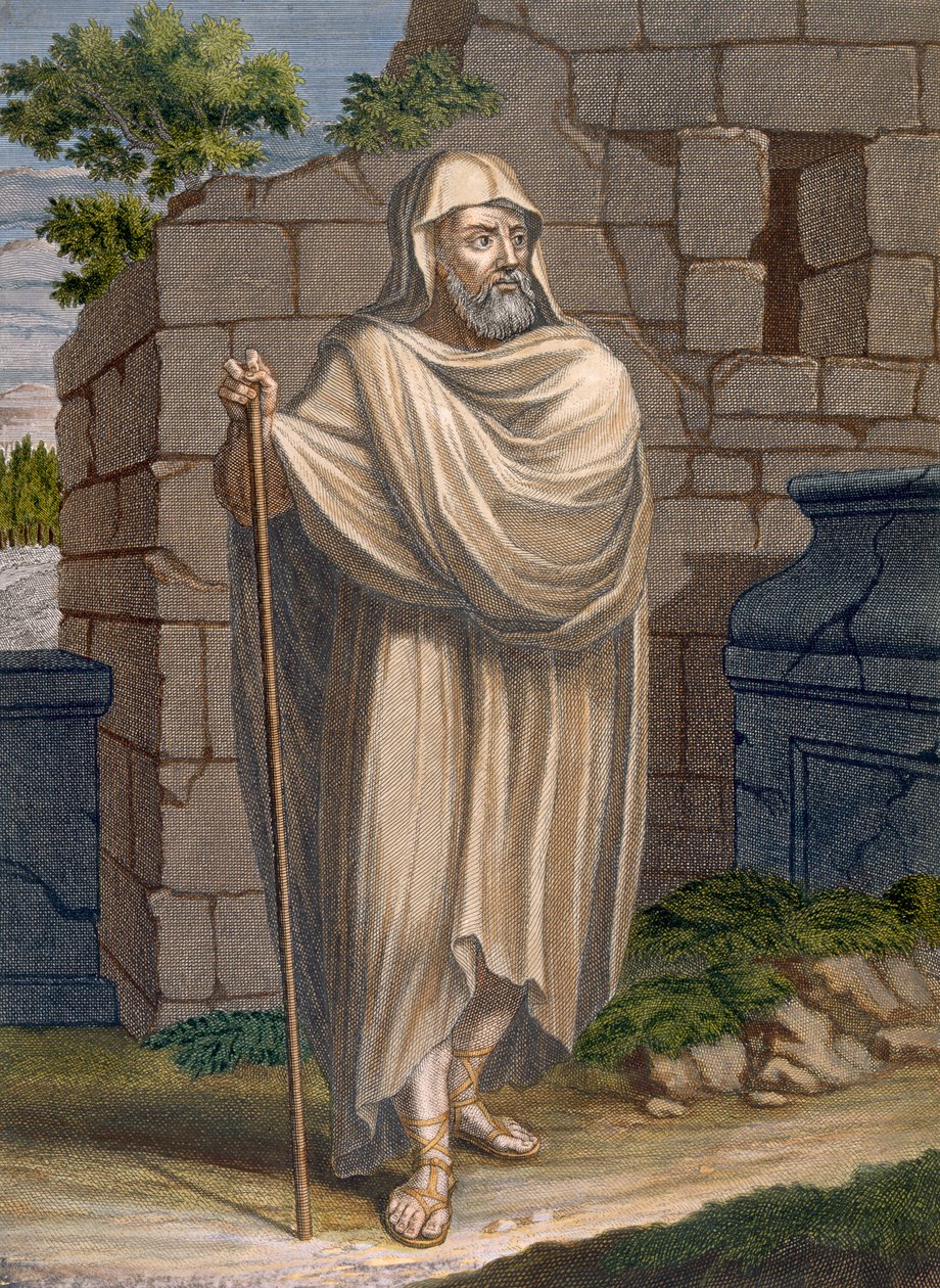 A Desert Arab, plate 94 fra 