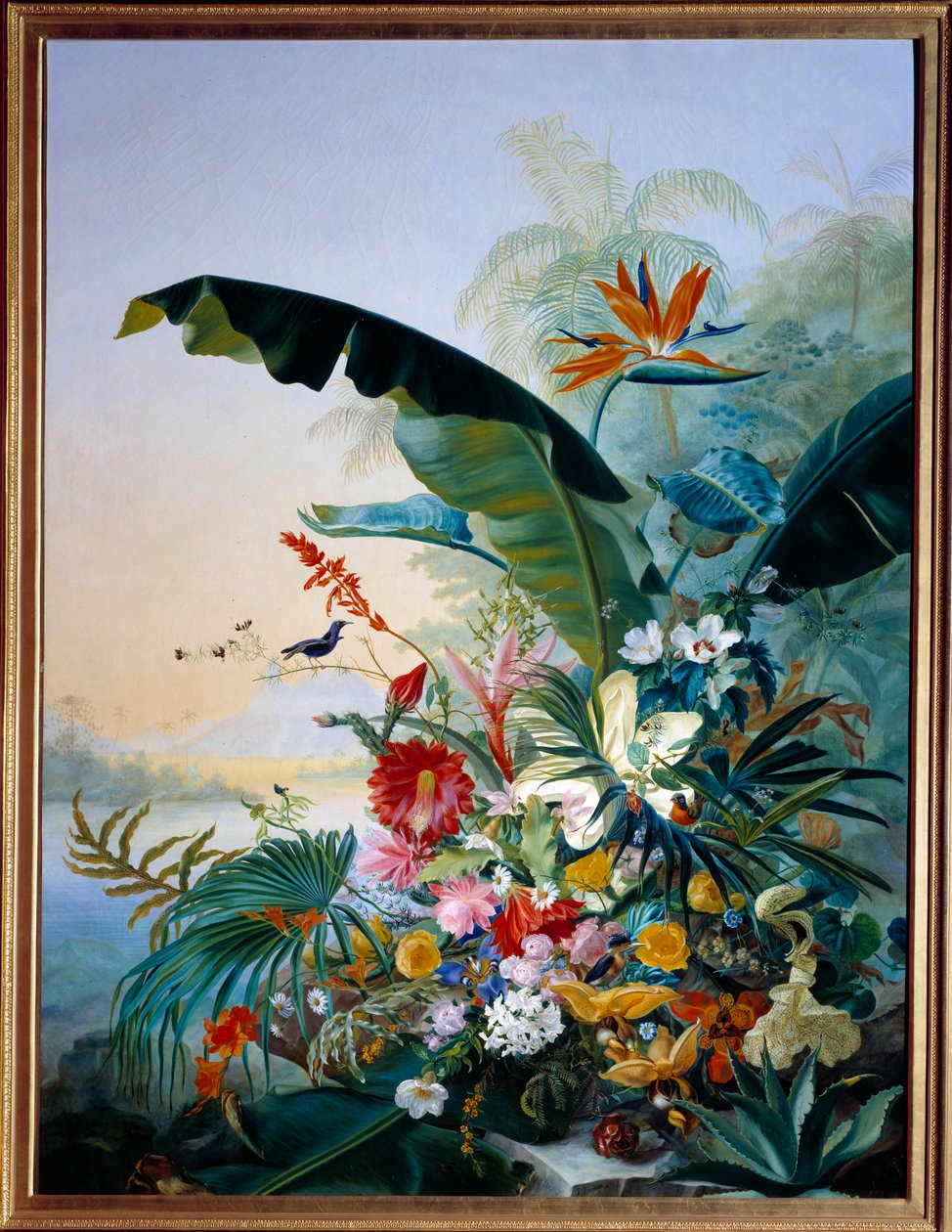 Eksotiske blomster. Maleri av Jean Benner Fries (Benner-Fries av Jean Benner Fries