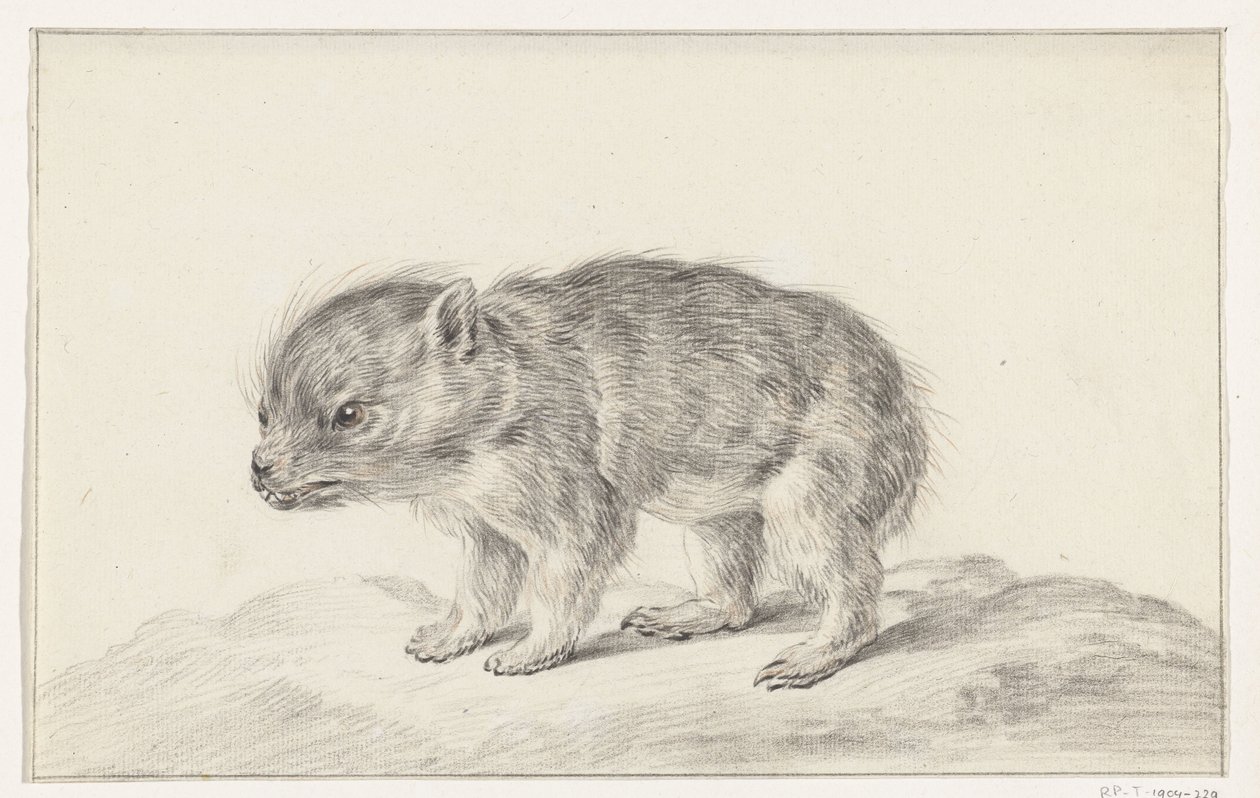 Ung bjørn (?) av Jean Bernard