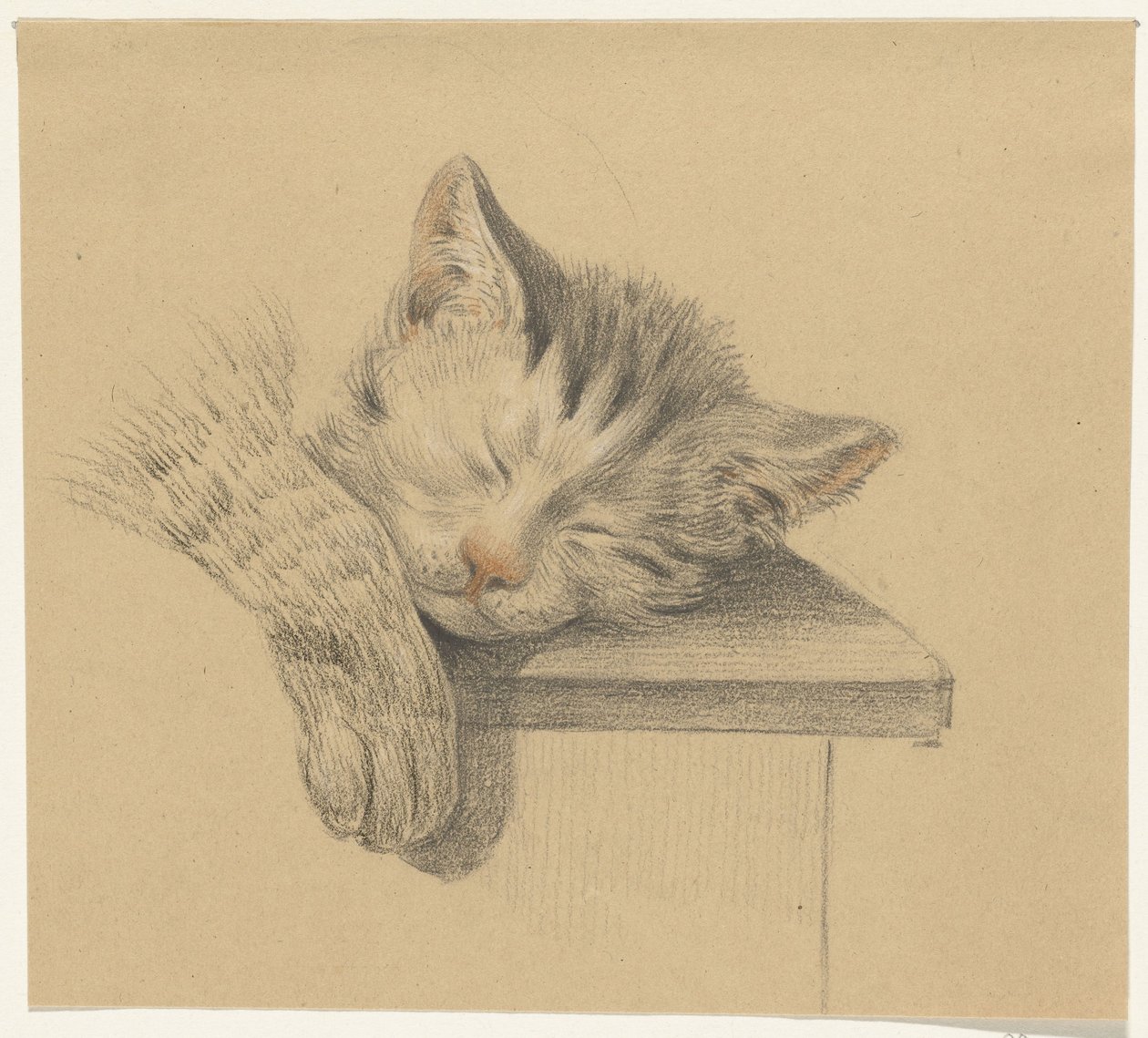 Hode og pote til en sovende katt av Jean Bernard