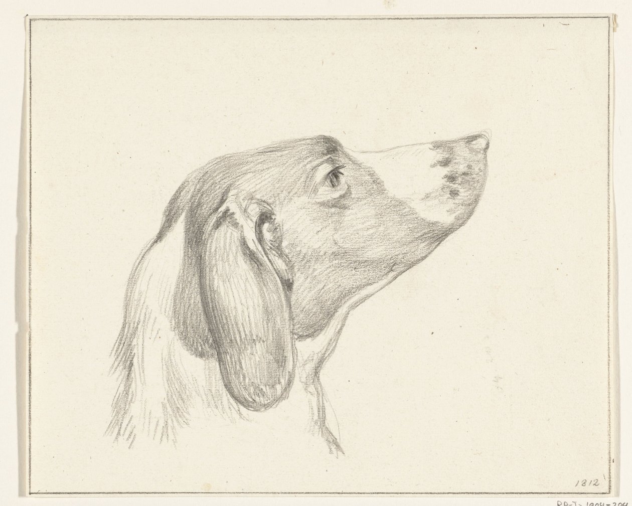 Hodet til en hund, til høyre av Jean Bernard