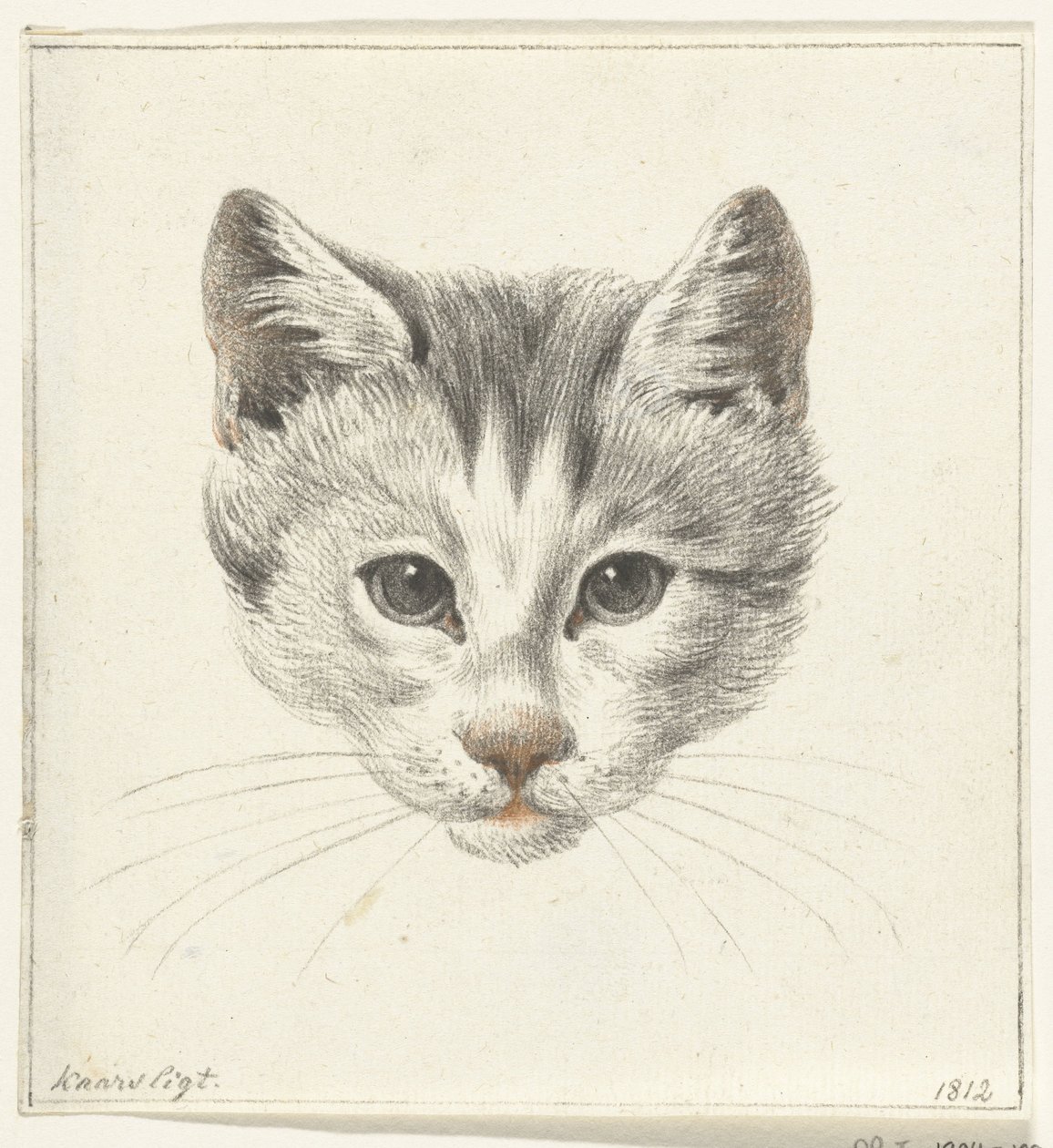 Hodet til en katt, sett forfra i levende lys av Jean Bernard