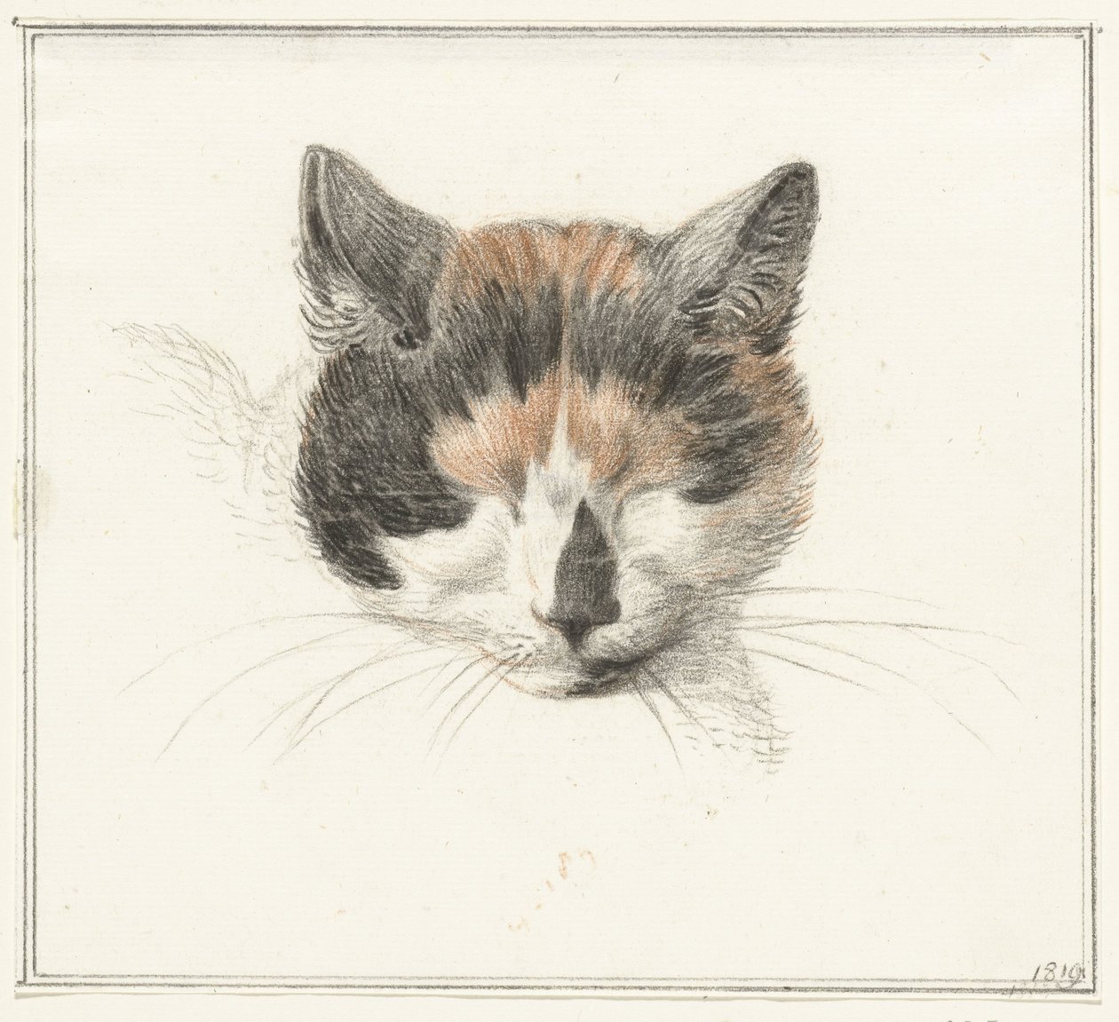 Hodet til en calico-katt, forfra, med lukkede øyne av Jean Bernard