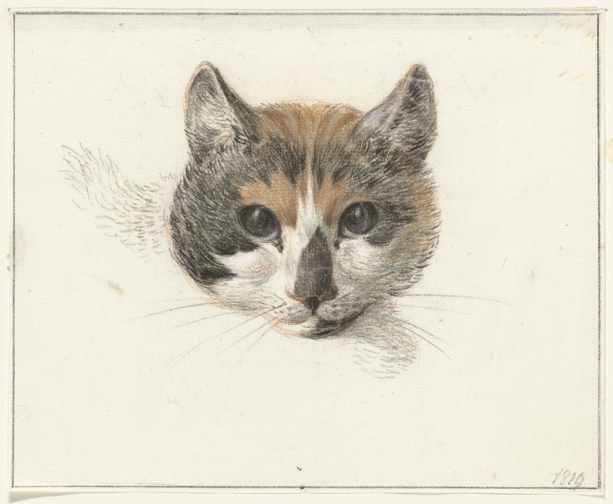 Hodet til en calico-katt, forfra, med åpne øyne av Jean Bernard