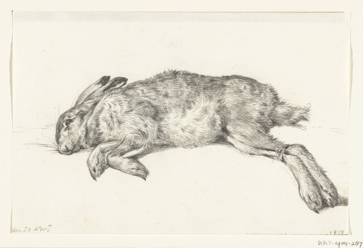 Liggende død hare av Jean Bernard