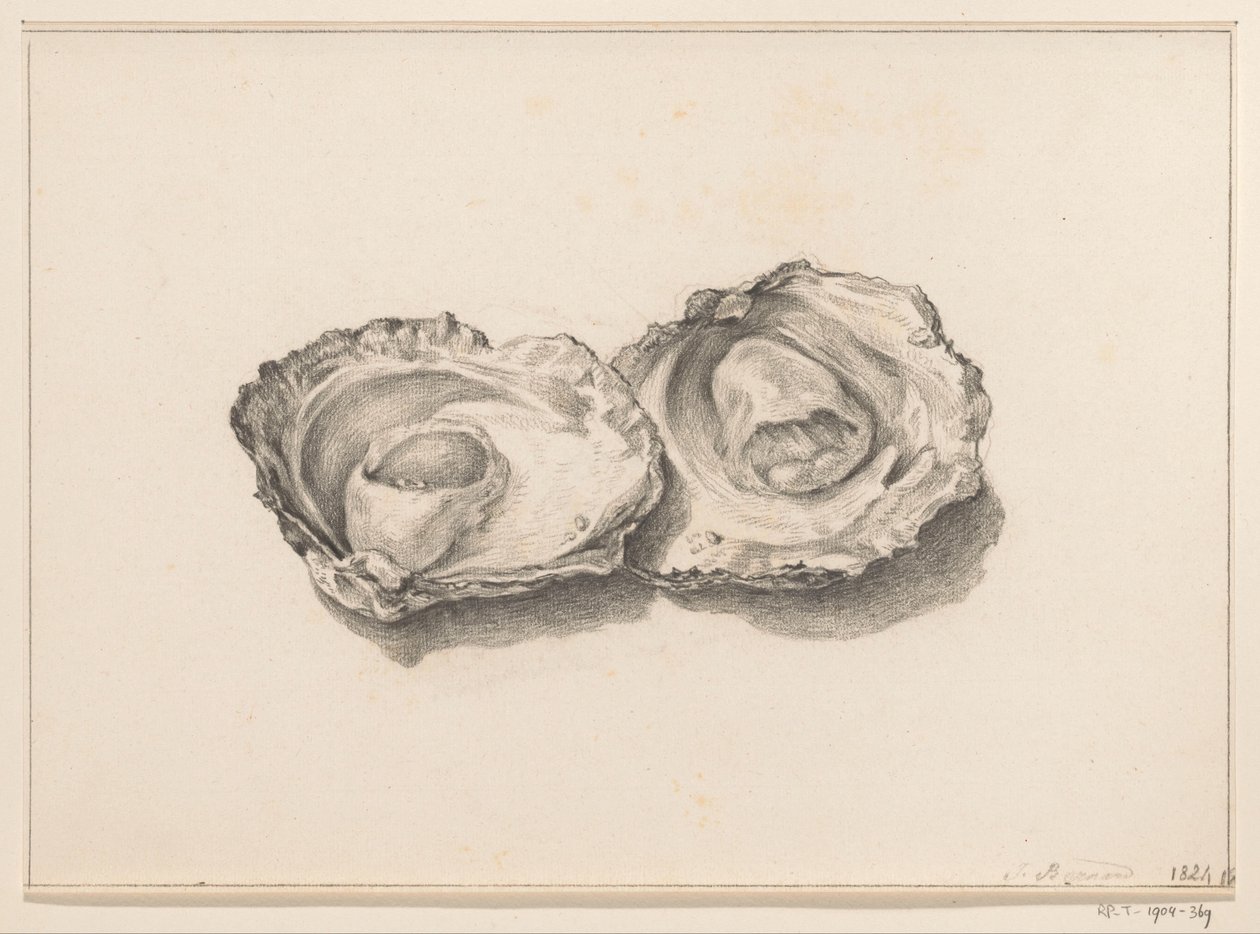 To åpnede østers av Jean Bernard