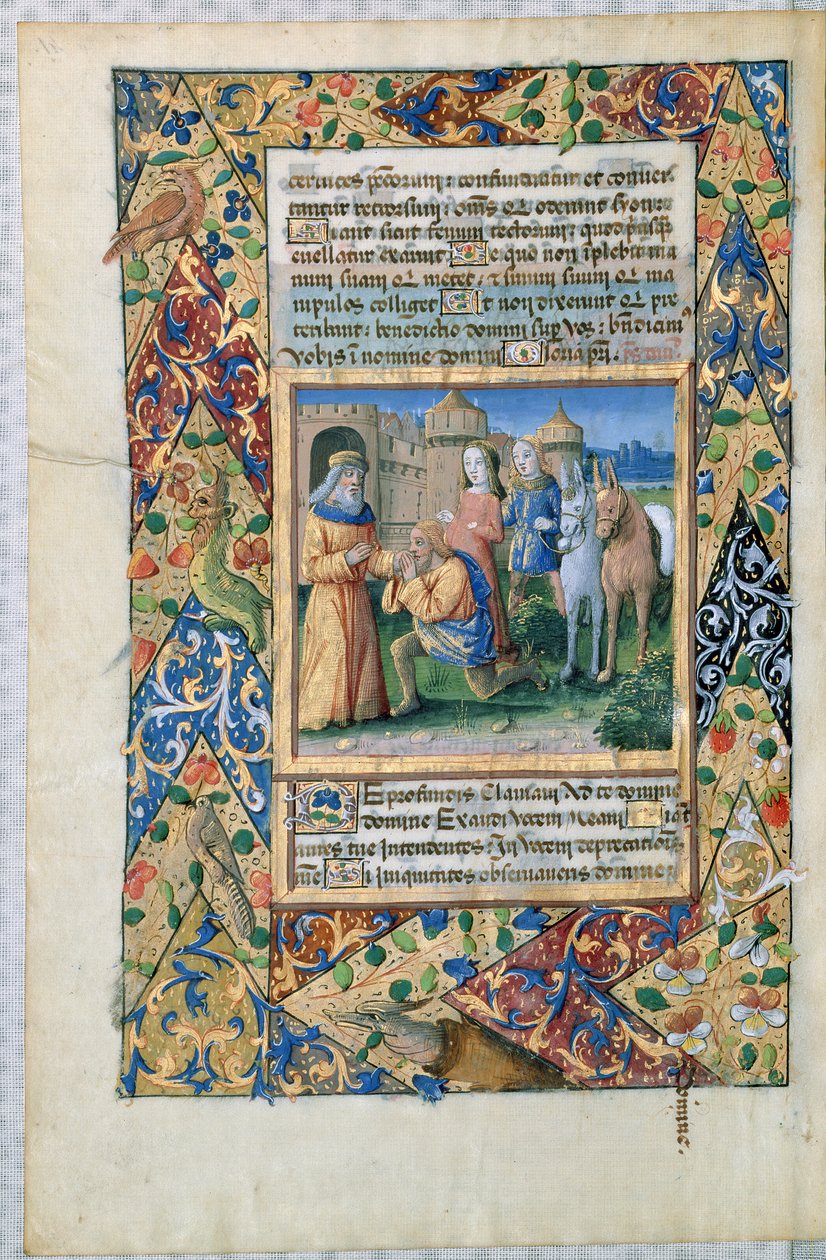 Ms Lat. Q.v.I.126 Scene fra 