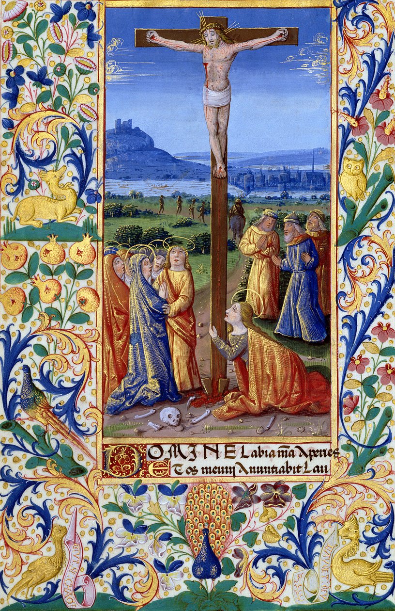 Ms Lat. Q.v.I.126 f.84v The Crucifixion, fra 