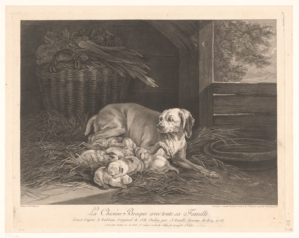 Bracke-hond met jongen in een stal Braque-hunden med hele familien hennes. (tittel på objekt) av Jean Daullé