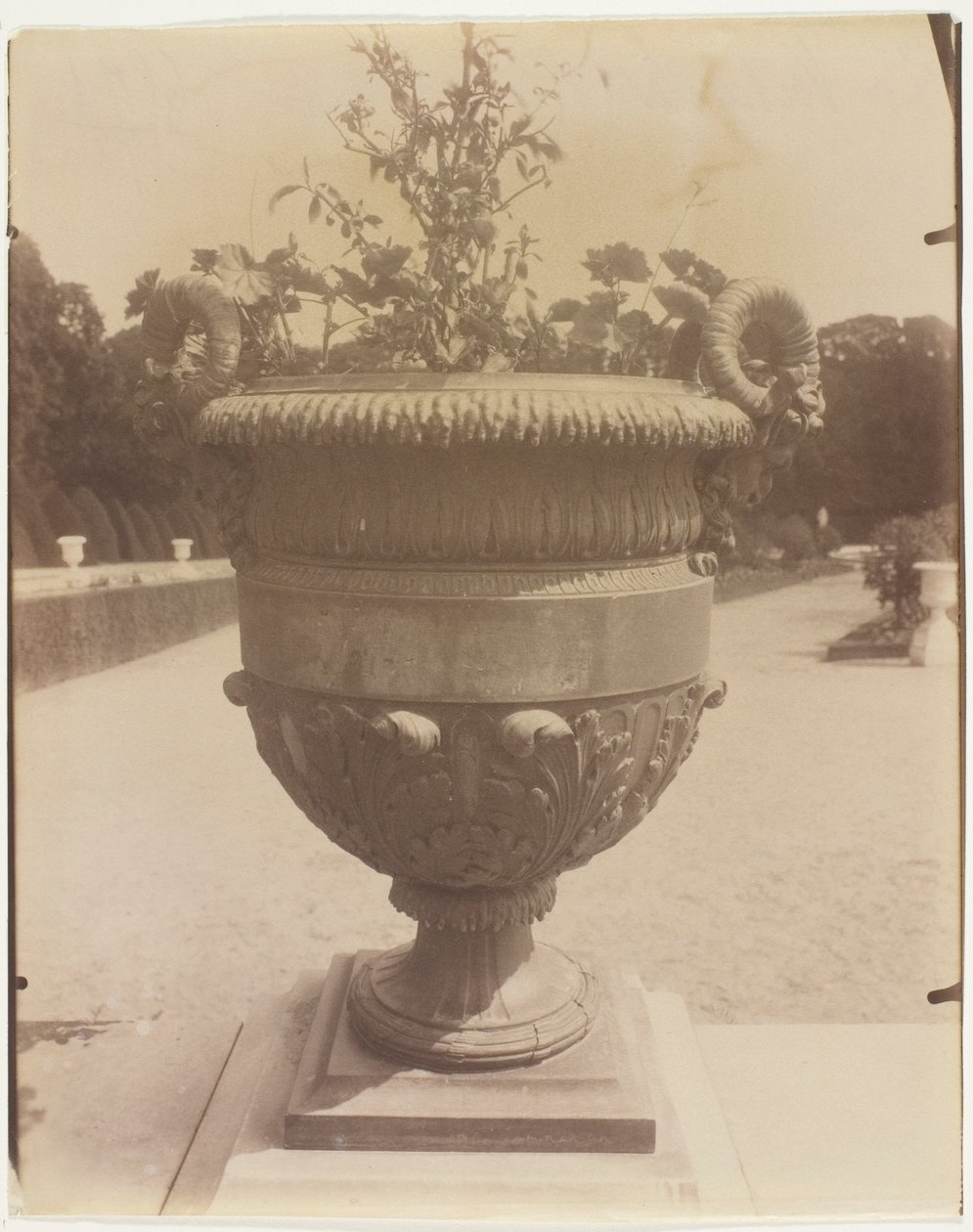  av Jean Eugène Auguste Atget