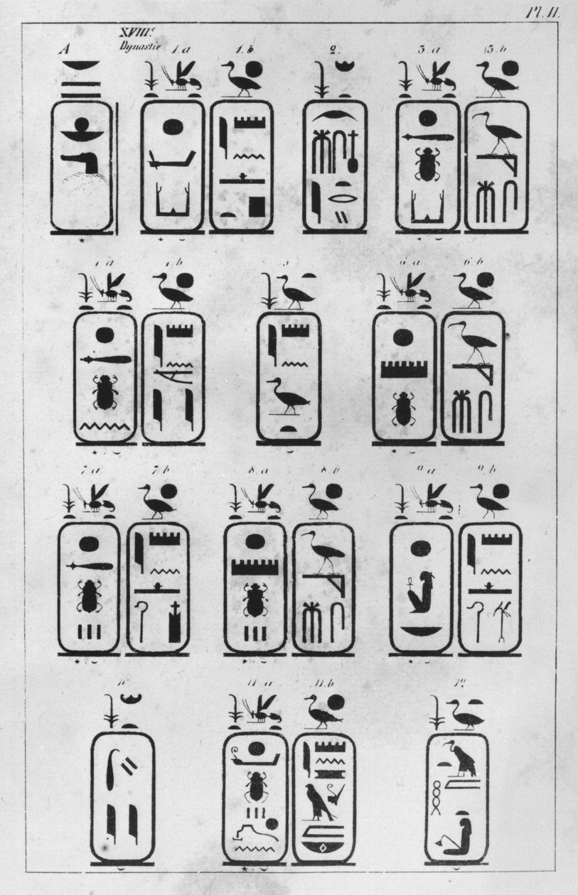 Brev adressert til den franske ambassadøren Pierre de Blacas dAulps om det kongelige museet for egyptisk kunst i Torino, Kopi av kongelige kartusjer fra det XVIII. dynastiet (brev 1, 1) 1824 (penn og blekk på s. av Jean Francois Champollion