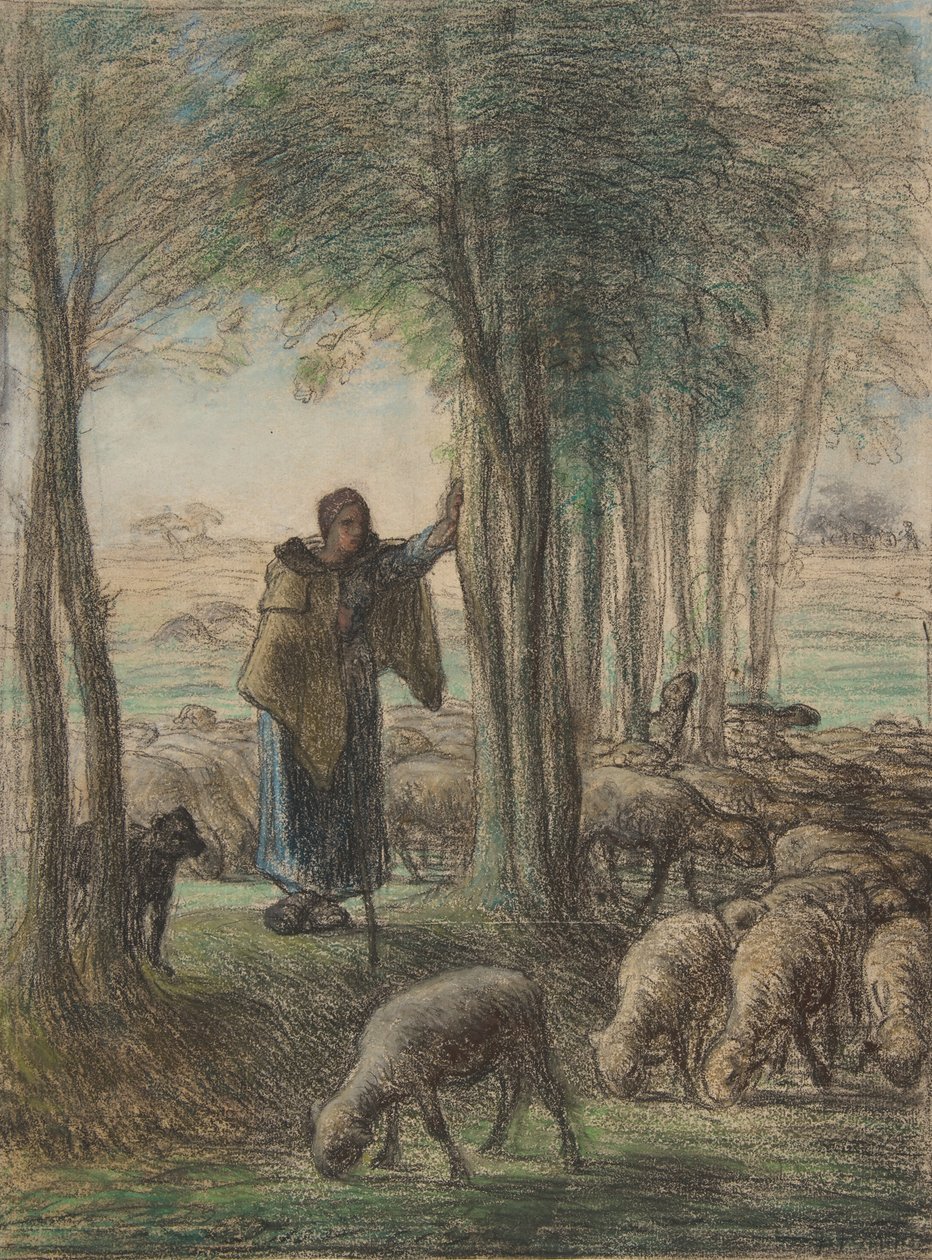En gjeterinne og hennes flokk i skyggen av trær, 1854-55 (conté fargestift og pastell på lagt papir) av Jean Francois Millet