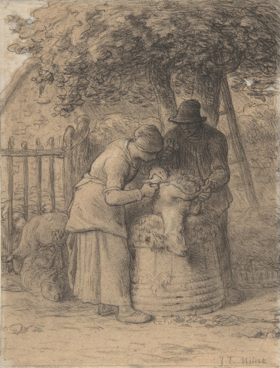 Saueklipping under et tre, ca. 1854. av Jean Francois Millet