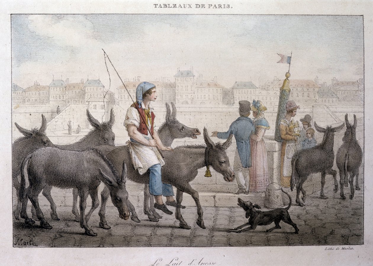 Tidligere gatehandel i Paris: kjøpmann av eselmelk (Ane dans Paris) - Gravering av Jean Henry Marlet (1771-1847) i "" Les Tableaux de Paris"", serie med 72 trykk, slutten av 1800-tallet av Jean Henri Marlet