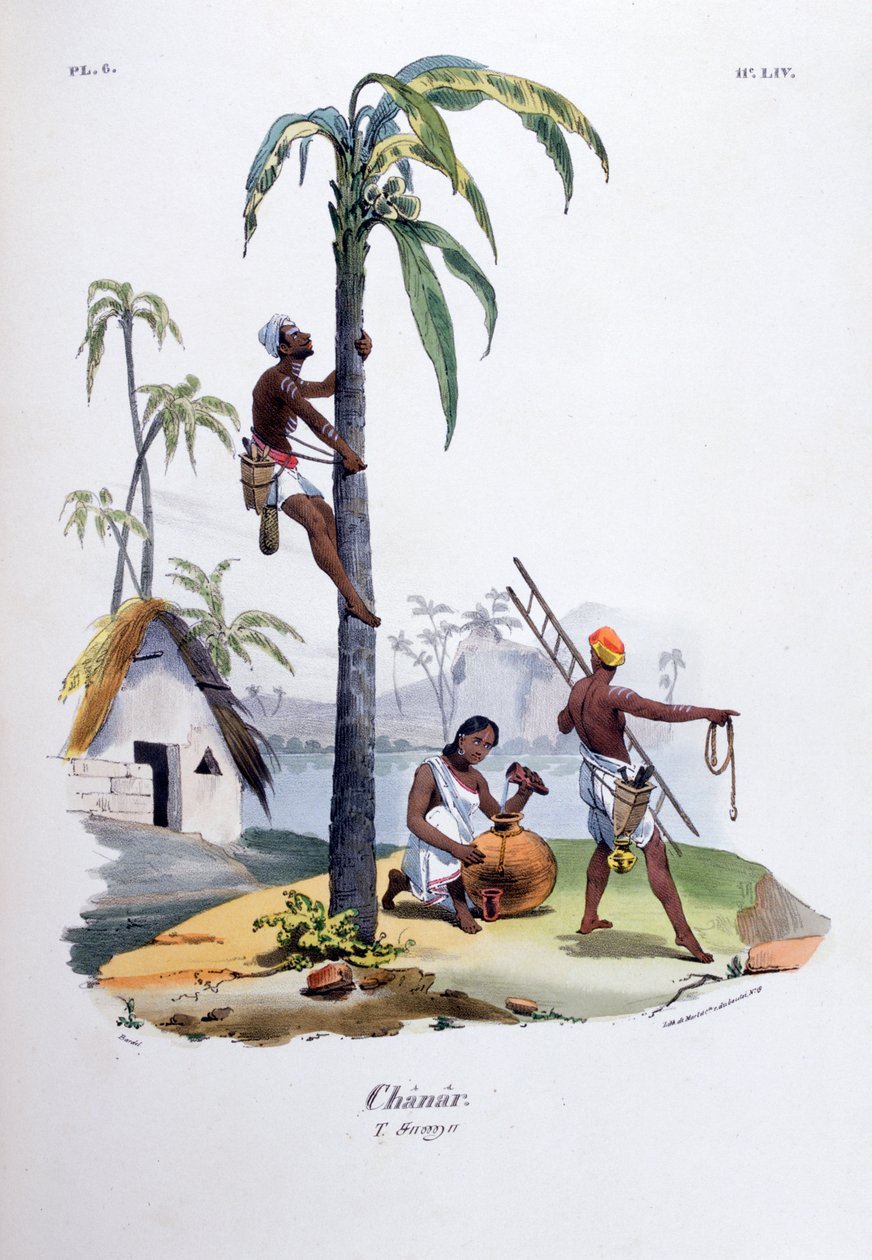 Chanar, 1828 av Jean Henri Marlet