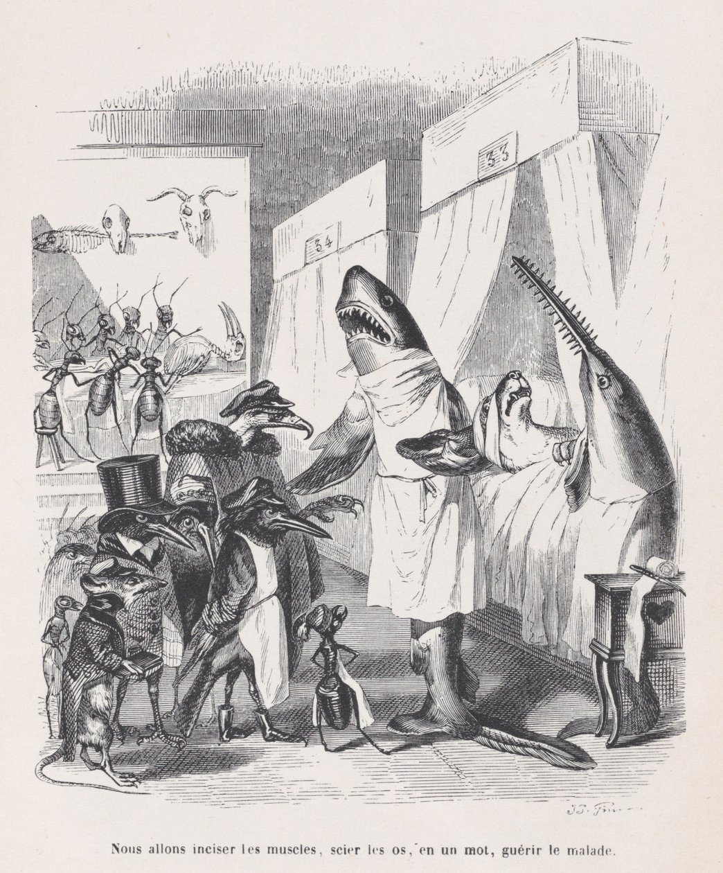 Vi skal snitte musklene, sage beinene, kort sagt helbrede de syke fra Sc..., ca. 1837-47. av Jean Ignace Isidore Gérard