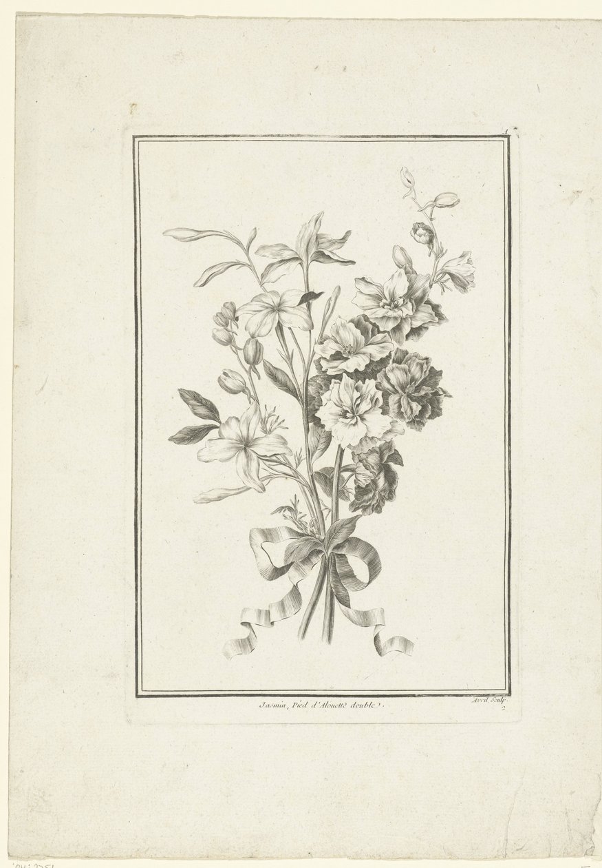 Bukett av sjasmin og lerkespore Jasmin, Pied d