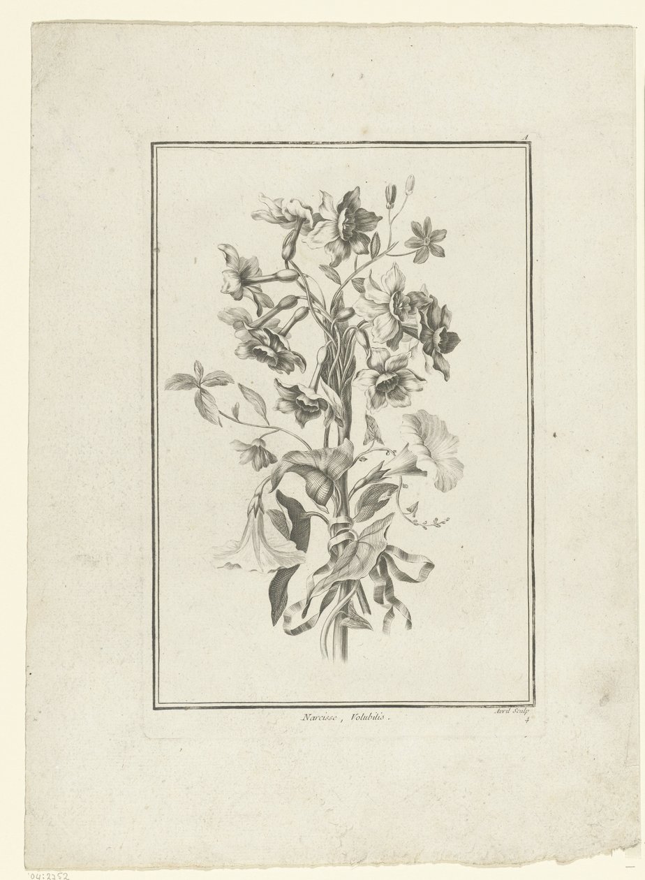 Bukett av påskelilje og bindweed Narcissus, Volubilis (tittel på objekt) IIe Cahier de Bouquets (serietittel) av Jean Jacques Avril (I)
