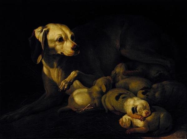 The Bitch Hound Nursing her Puppies, detalj etter en original av Jean-Baptiste Oudry, 1755 av Jean Jacques Bachelier