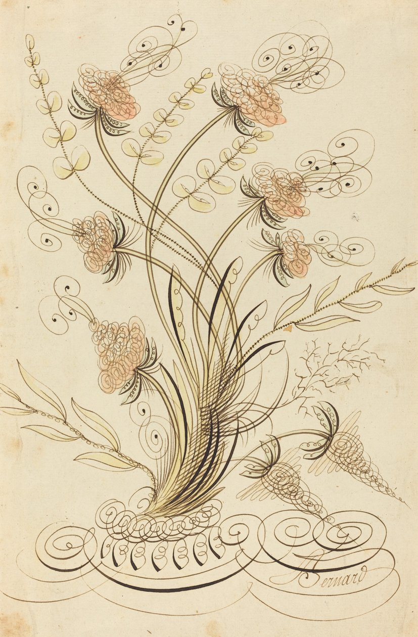Kalligrafiske blomster av Jean Joseph Bernard called Bernard de Paris