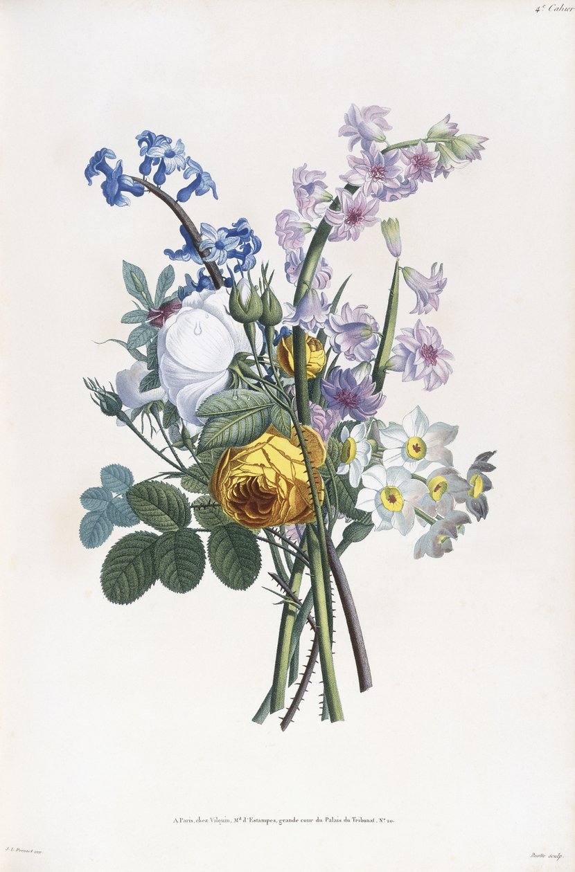 Narcisse, Rosa, Hyacynth, 1805 av Jean Louis Prevost
