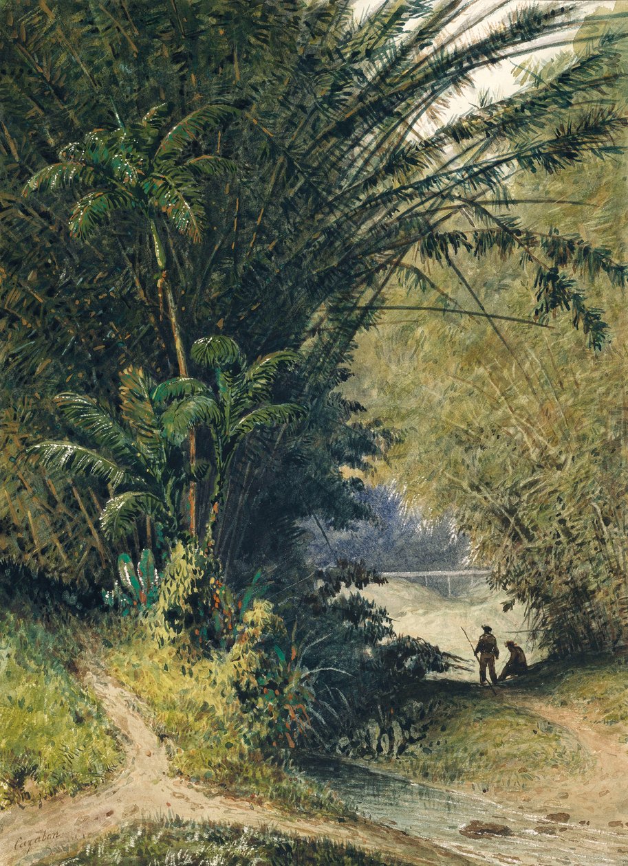 En bambuslund i Trinidad av Jean Michel Cazabon