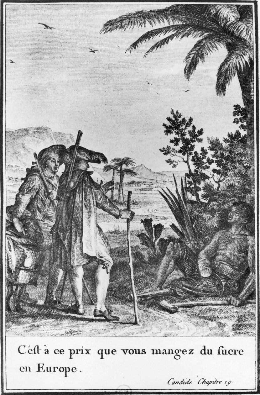 'Det er til denne prisen du spiser sukker i Europa', illustrasjon fra kapittel 19 i 'Candide' av Francois Voltaire (1694-1778) gravert av Pierre Charles Baquoy (1759-1829) 1787 (gravering) (s/hv foto) av Jean Michel the Younger (after) Moreau