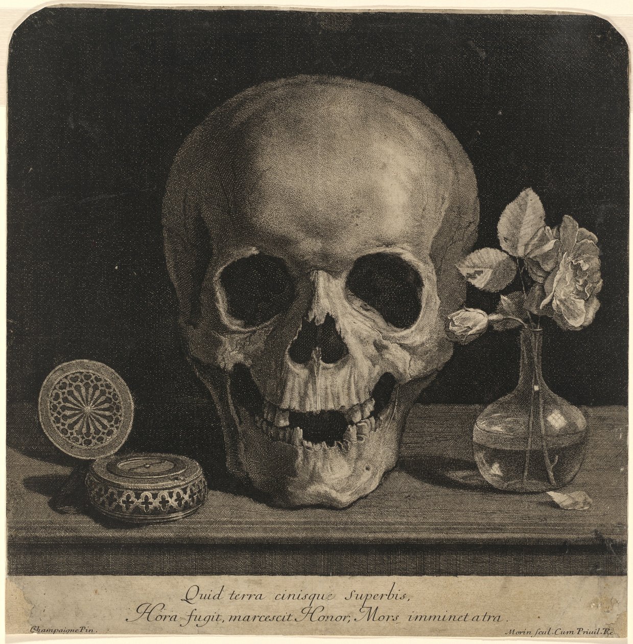 Stilleben med en hodeskalle og en vase med roser av Jean Morin, after Philippe de Champaigne