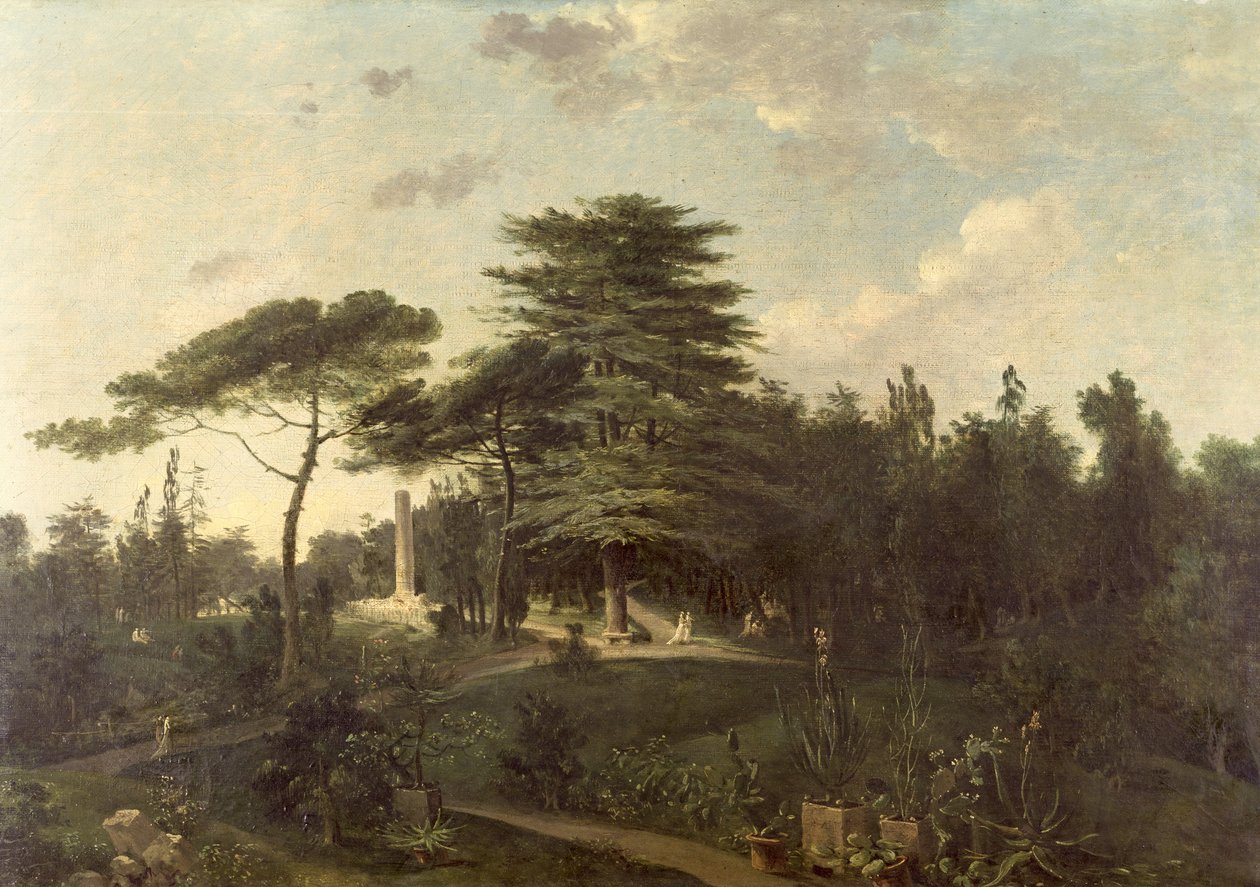 Libanons sedertre i Jardin des Plantes av Jean Pierre Houel