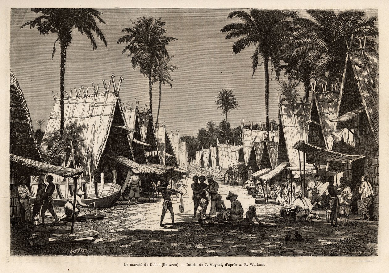 Marsjen til Dobbo, på Arou Island, et havnesenter, animert av mange kjøpmenn og skipsbygging, gravert etter tegningen av J.Moynet, som illustrerer reisen til den malaysiske skjærgården i 1854-1862, av Alfred Russell Wallace (1823-1913) ), en britisk av Jean Pierre Moynet