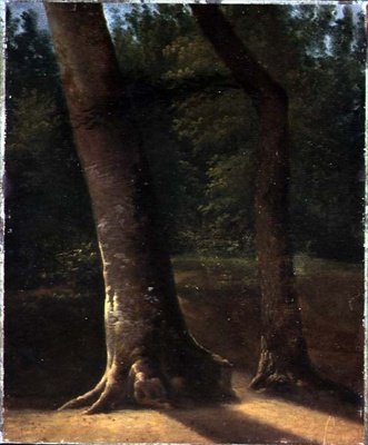 Study of Trees, ca. 1815 (olje på papir) av Jean Victor (attr. to) Bertin